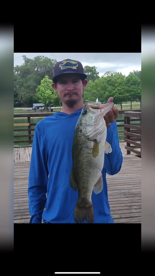 Post 4 by OG gator on TikTok (video)