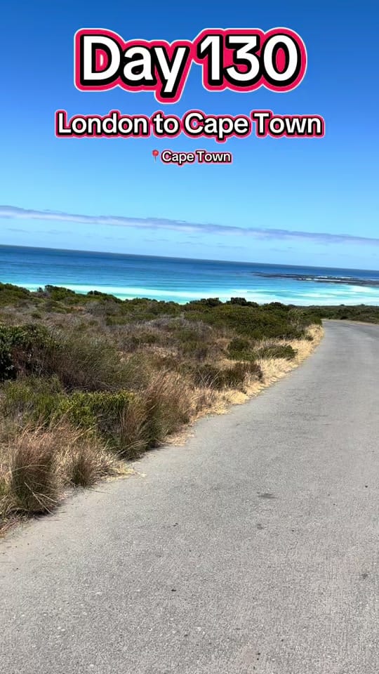 Post 5 by Scott and Max on TikTok (video)