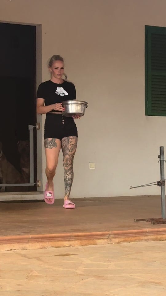 Post 8 by Iced Out Bullyz Oldenburg on TikTok (video)