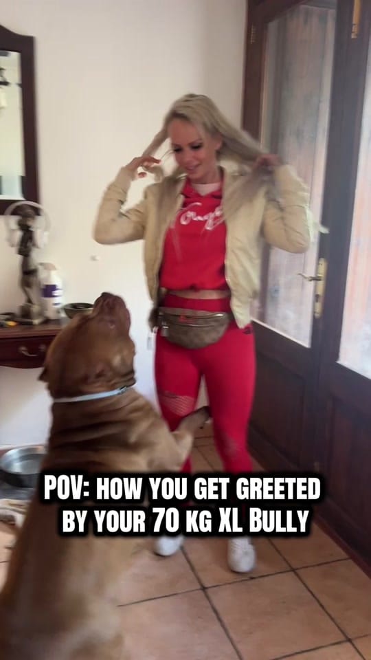 Post 2 by Iced Out Bullyz Oldenburg on TikTok (video)
