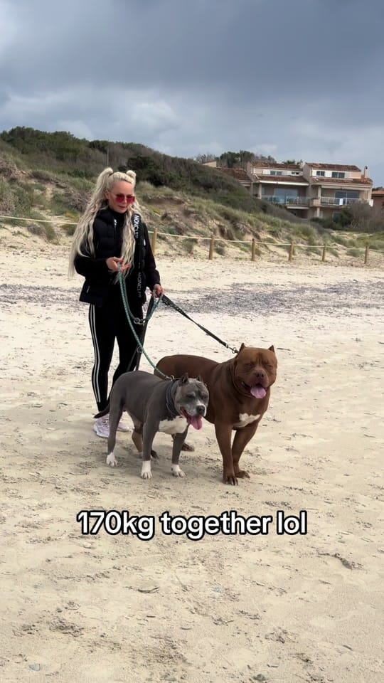 Post 7 by Iced Out Bullyz Oldenburg on TikTok (video)