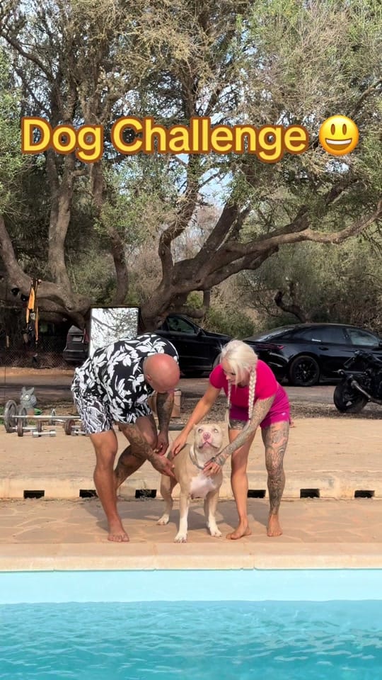 Post 9 by Iced Out Bullyz Oldenburg on TikTok (video)