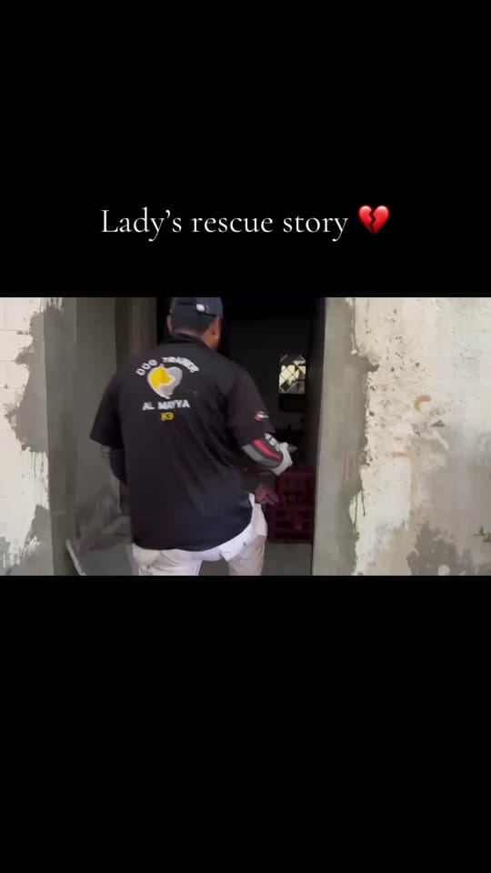 Post 4 by Al Mayya K9 Adoptions on TikTok (video)