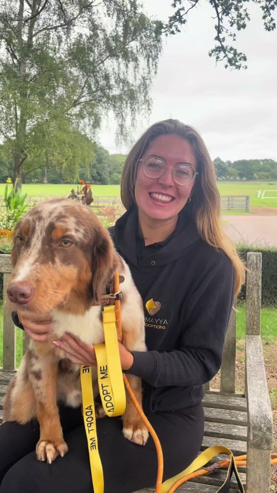 Post 9 by Al Mayya K9 Adoptions on TikTok (video)