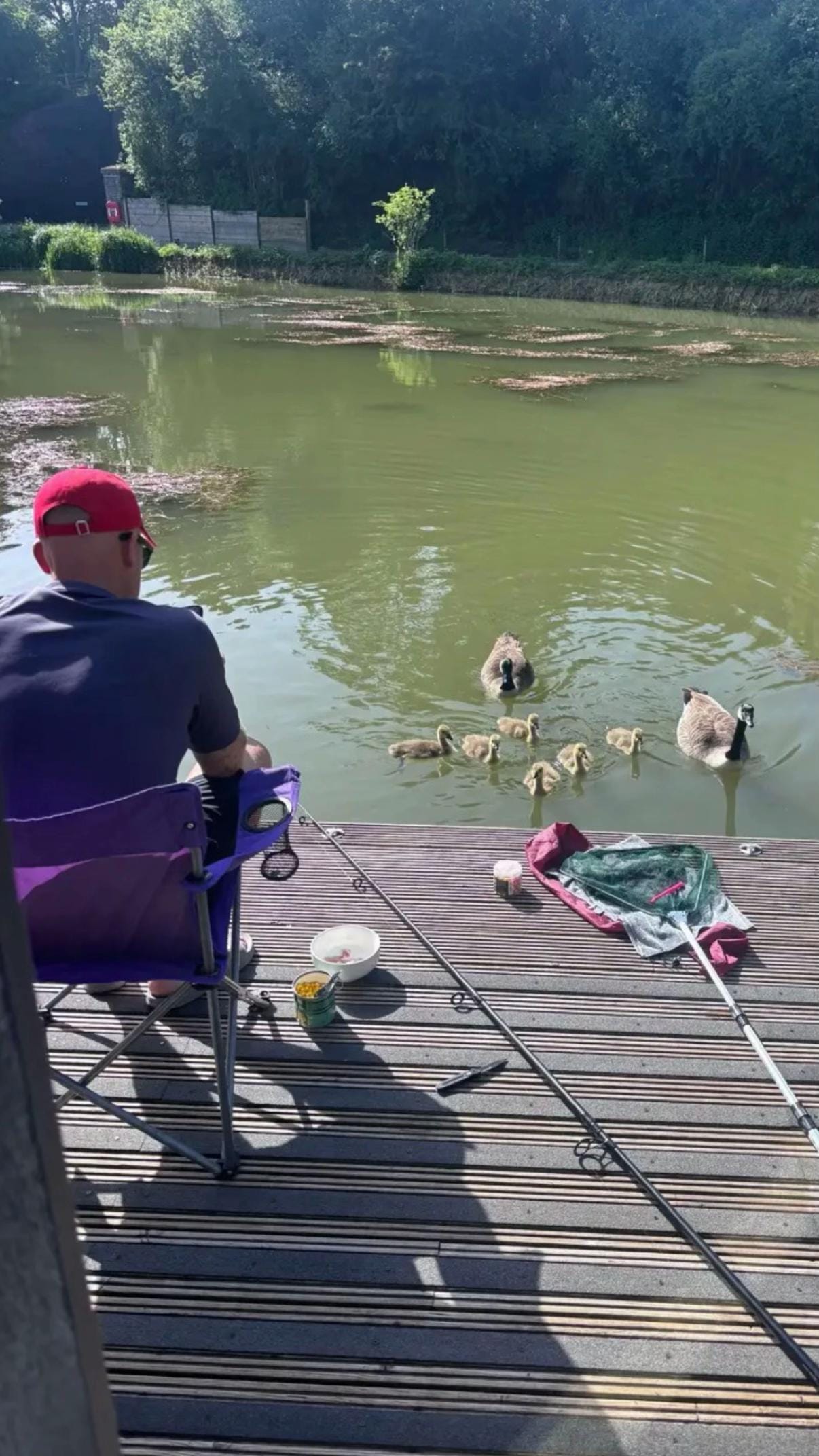Post 4 by Bridge Lake Farm & Fishery on TikTok (video)