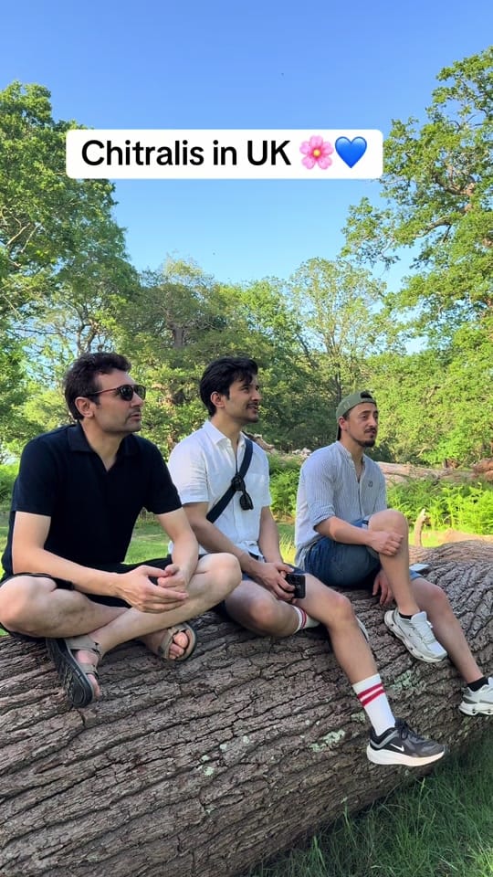 Post 5 by wahidkhanzeerak on TikTok (video)