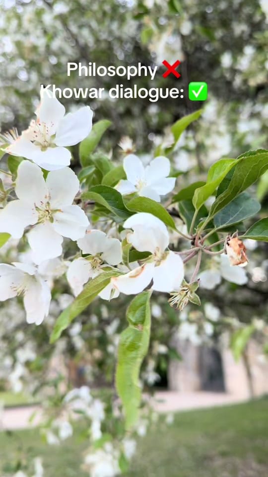 Post 7 by wahidkhanzeerak on TikTok (video)