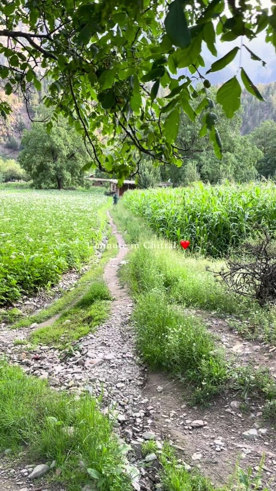Post 9 by wahidkhanzeerak on TikTok (video)