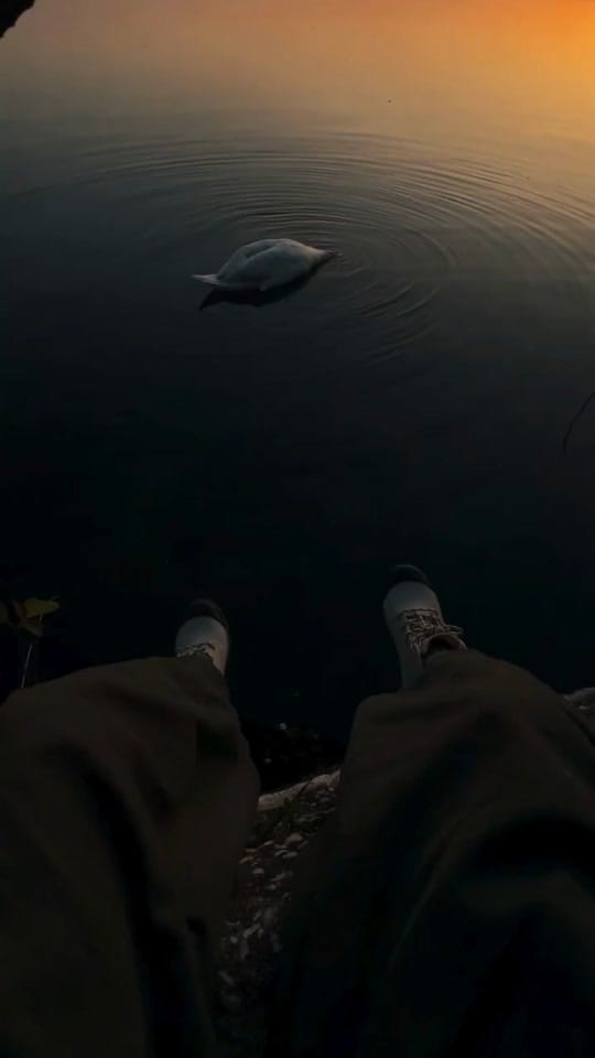 Post 5 by Shiv Modi on TikTok (video)