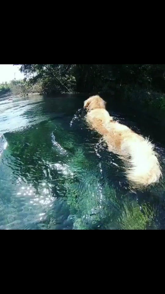 Post 6 by Shiv Modi on TikTok (video)