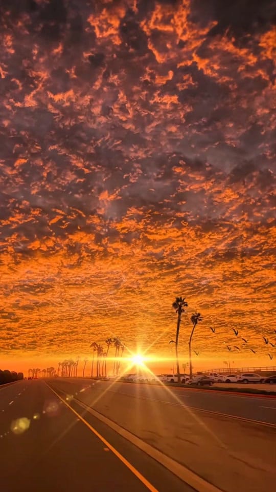 Post 7 by Shiv Modi on TikTok (video)