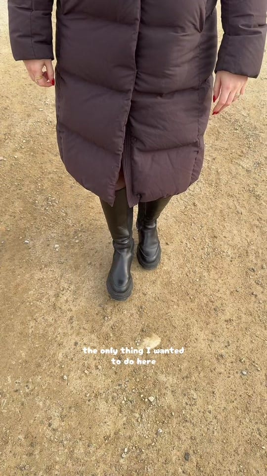 Post 3 by elise :) on TikTok (video)