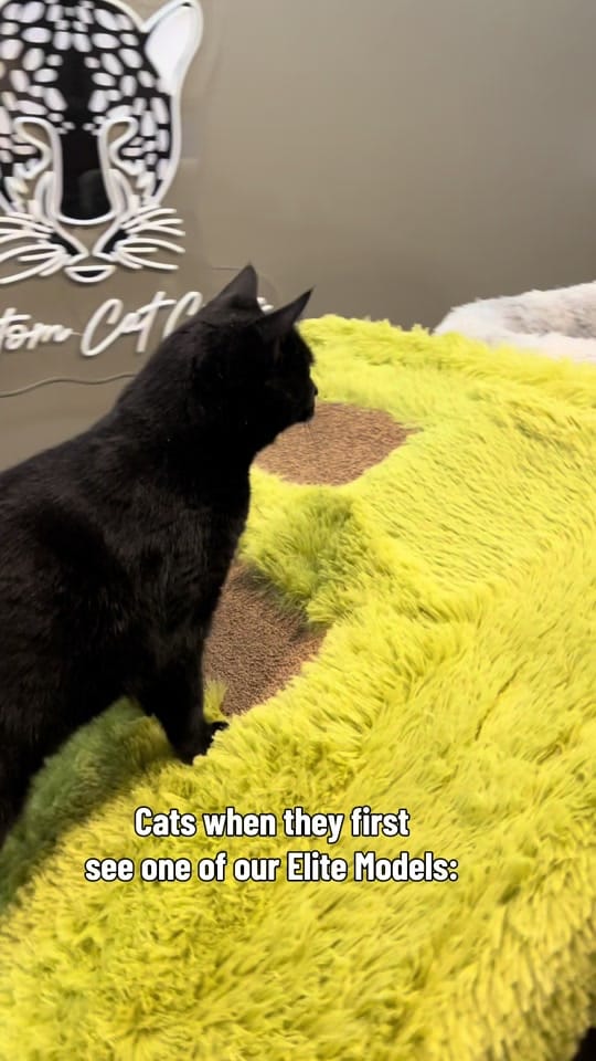 Post 2 by customcatcribs on TikTok (video)