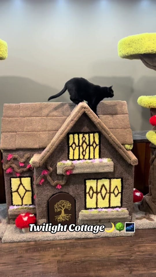 Post 10 by customcatcribs on TikTok (video)