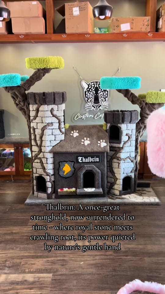 Post 8 by customcatcribs on TikTok (video)