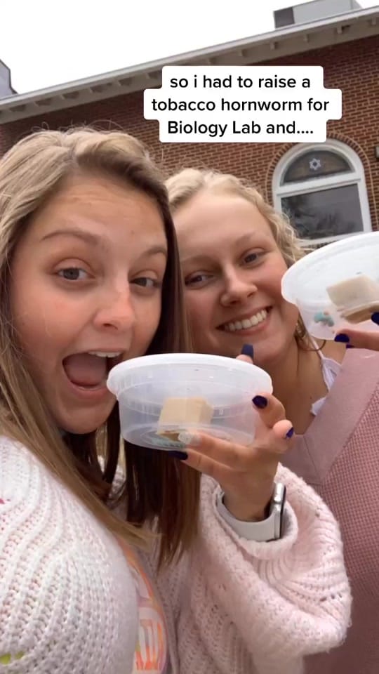 Post 10 by caitlin w on TikTok (video)