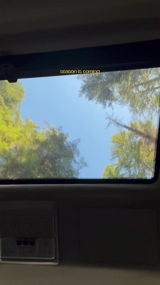 Post 5 by Jazzy Rose on TikTok (video)