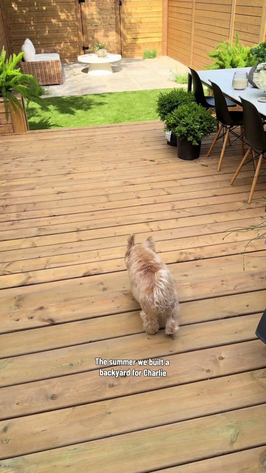 Post 1 by K C Z O on TikTok (video)