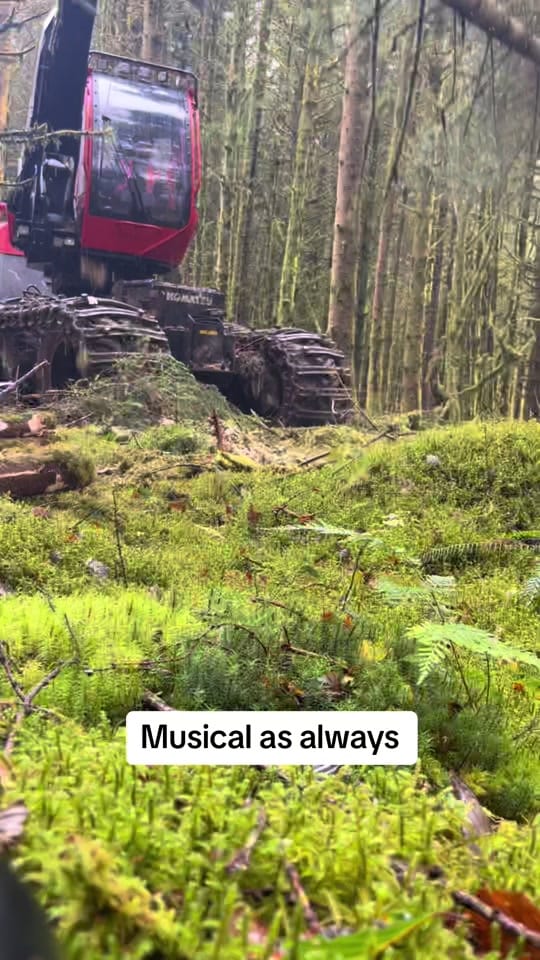 Post 10 by Jimmy Trees on TikTok (video)
