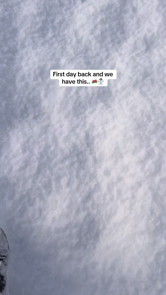 Post 6 by Jimmy Trees on TikTok (video)