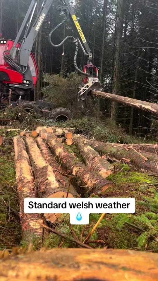 Post 9 by Jimmy Trees on TikTok (video)
