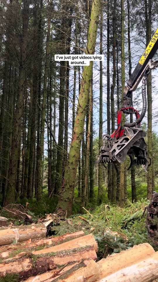 Post 4 by Jimmy Trees on TikTok (video)