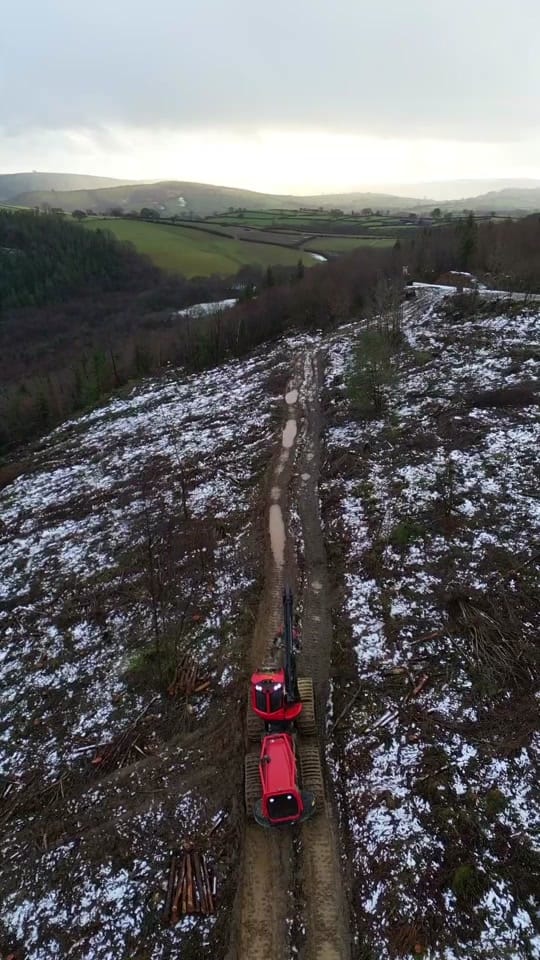 Post 5 by Jimmy Trees on TikTok (video)