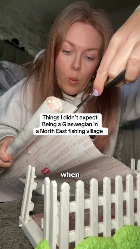 Post 5 by beeupnorth on TikTok (video)