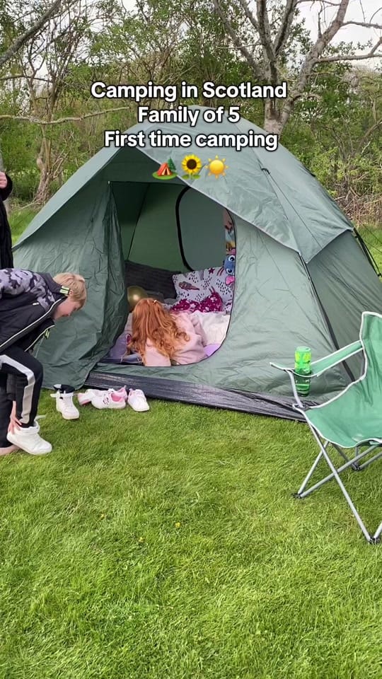 Post 10 by beeupnorth on TikTok (video)