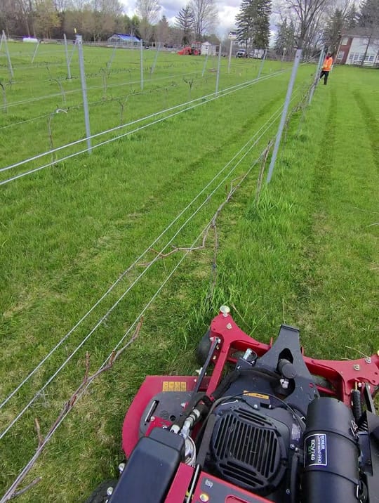 Post 9 by jplandscapedesignltd on TikTok (video)