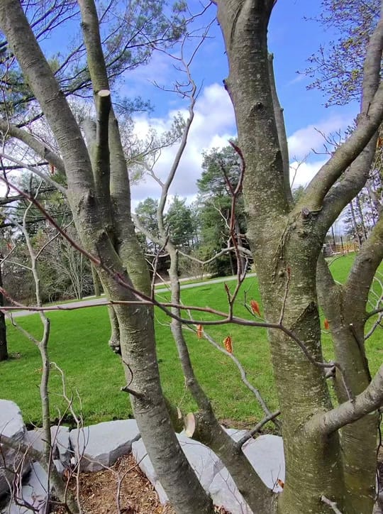 Post 10 by jplandscapedesignltd on TikTok (video)