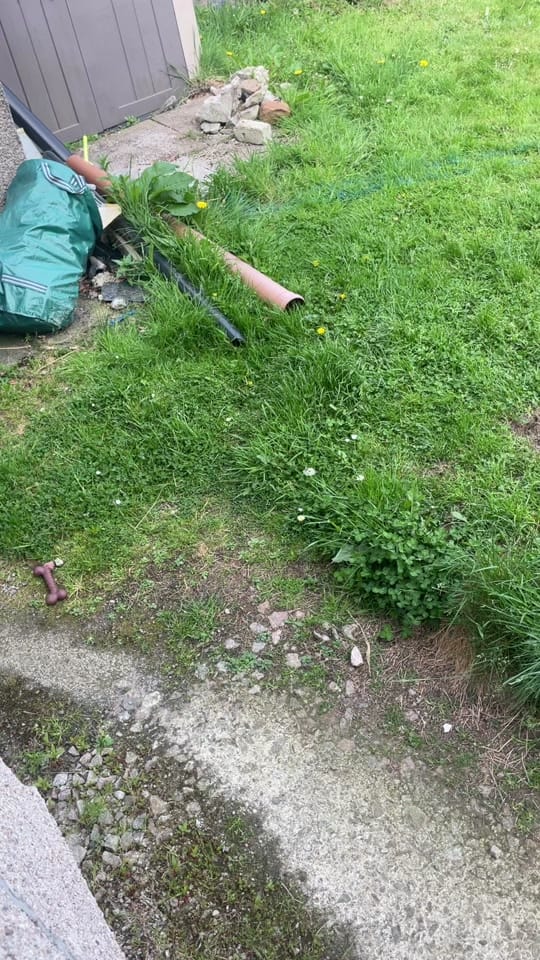 Post 2 by Cheryl on TikTok (video)