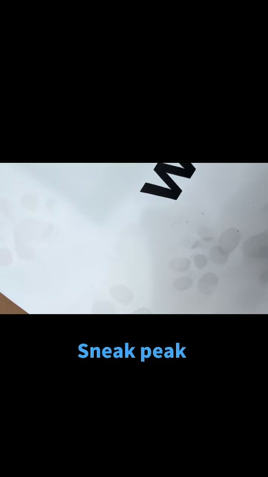 Post 3 by Animal Ark Rescue on TikTok (video)