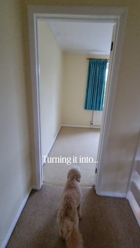 Post 7 by Our_Surrey_Project on TikTok (video)