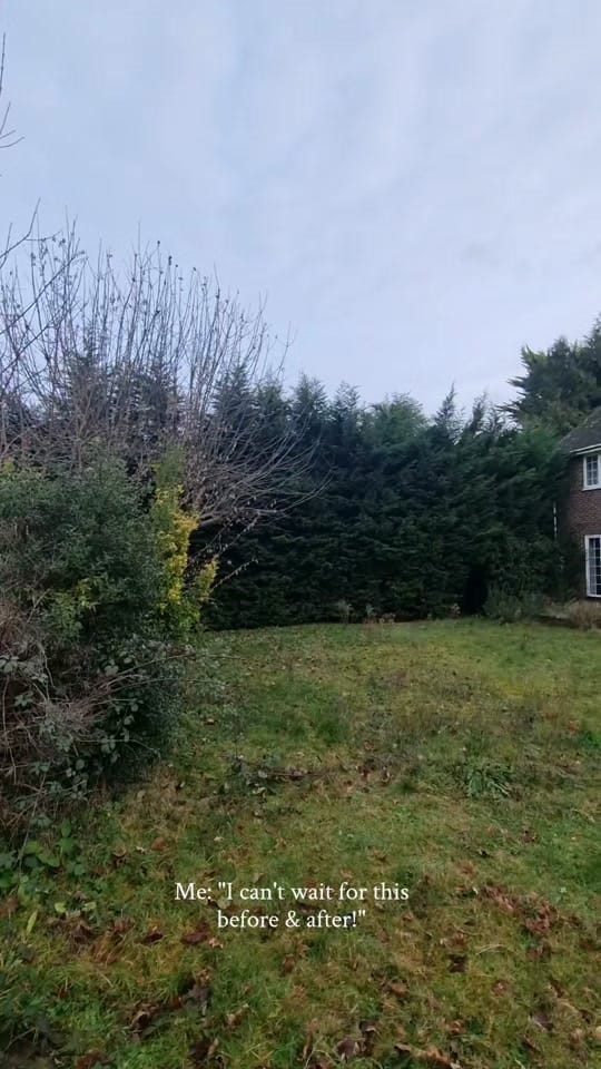 Post 10 by Our_Surrey_Project on TikTok (video)