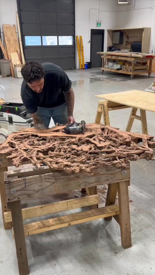 Post 5 by thejunkyarddog___ on TikTok (video)