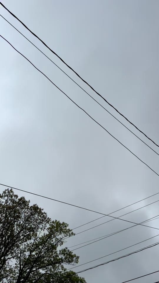Post 2 by thelastdang on TikTok (video)