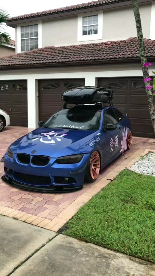 Post 10 by thelastdang on TikTok (video)