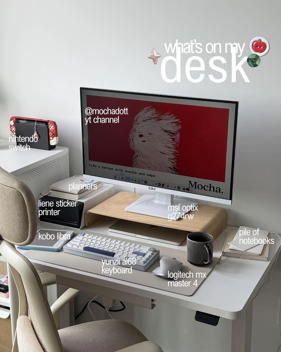 Post 5 by ara 🌱 on TikTok (video)