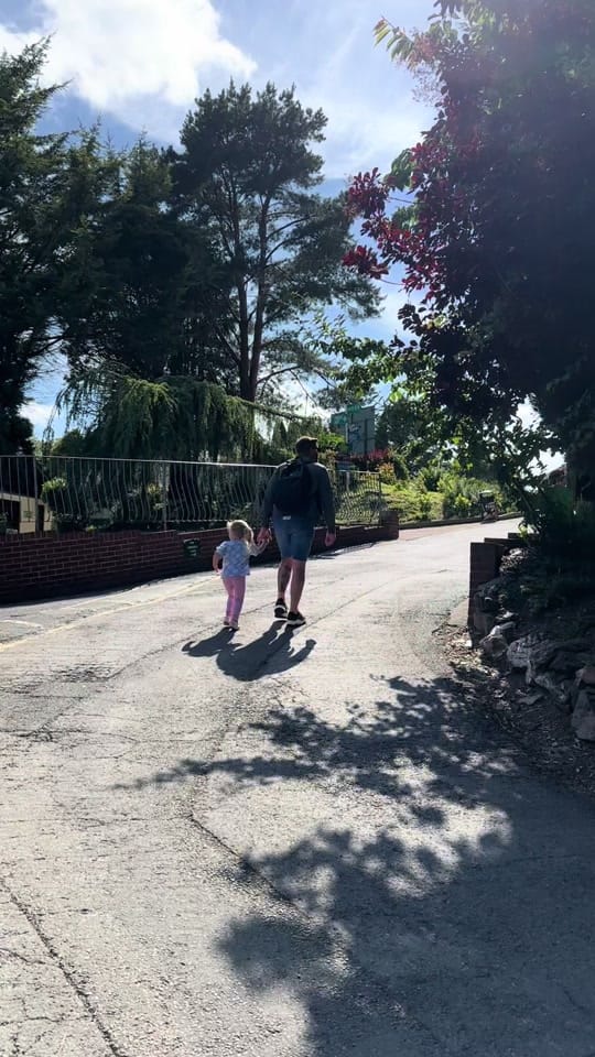 Post 8 by Deanna Cara Hayes on TikTok (video)