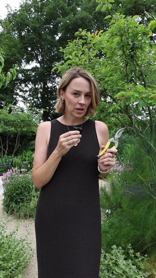 Post 10 by Pollyanna Wilkinson on TikTok (video)