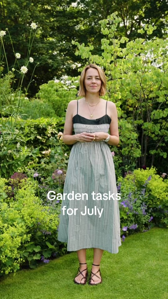 Post 8 by Pollyanna Wilkinson on TikTok (video)