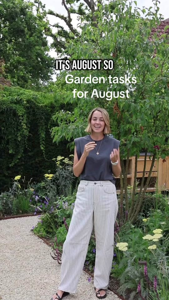 Post 7 by Pollyanna Wilkinson on TikTok (video)