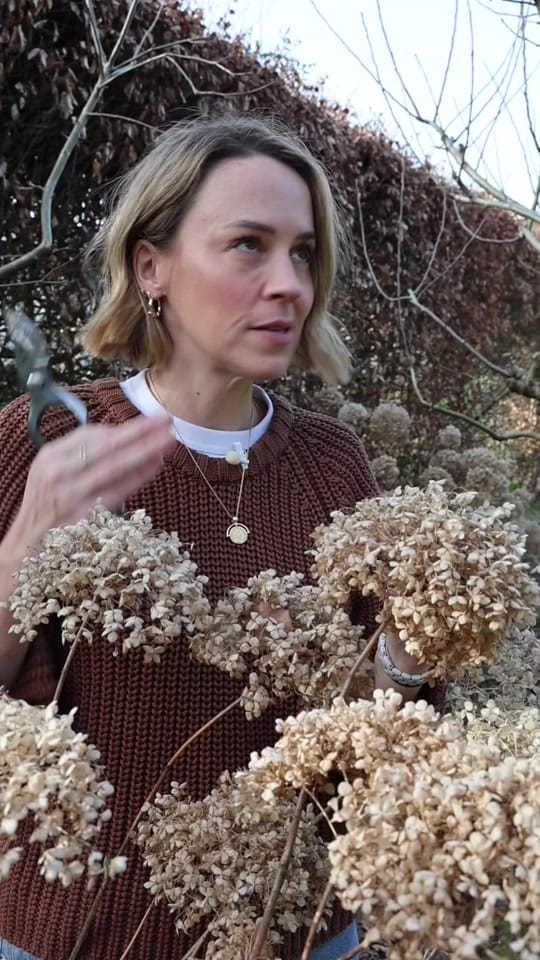 Post 1 by Pollyanna Wilkinson on TikTok (video)