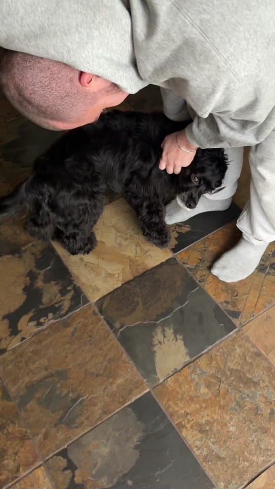 Post 9 by noemie.lav on TikTok (video)