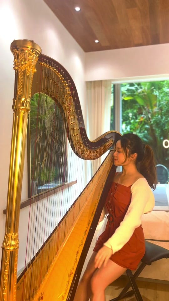Post 8 by katie🎀 on TikTok (video)