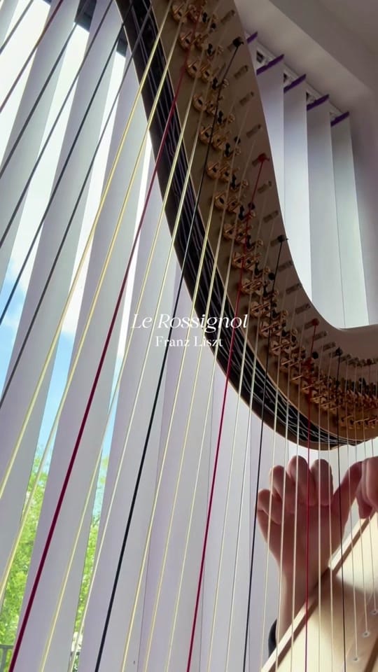 Post 5 by katie🎀 on TikTok (video)