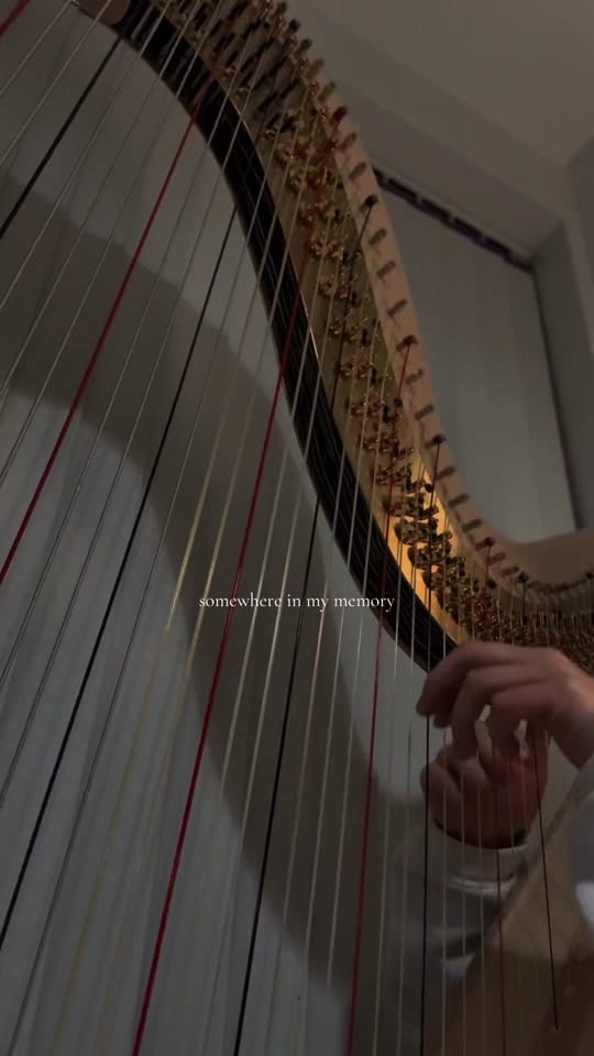 Post 7 by katie🎀 on TikTok (video)