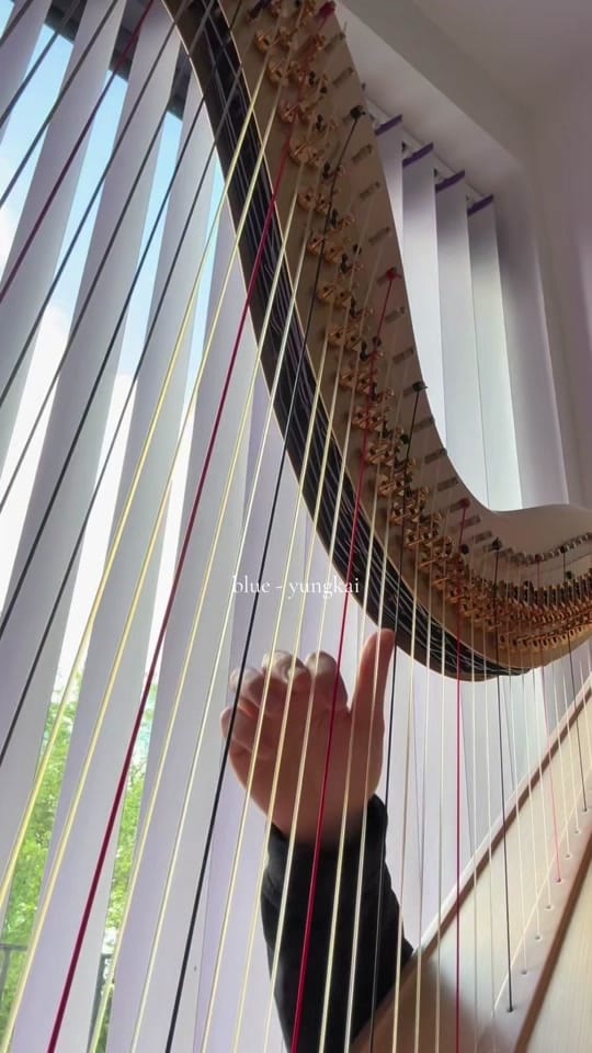 Post 4 by katie🎀 on TikTok (video)
