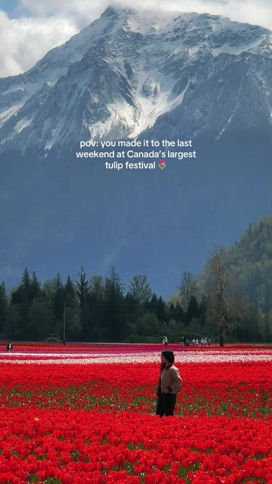 Post 9 by Janet • Outdoors and Travel🍁 on TikTok (video)